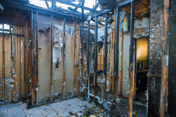 Professional Fire Damage Removal technician working in Elko New Market, MN